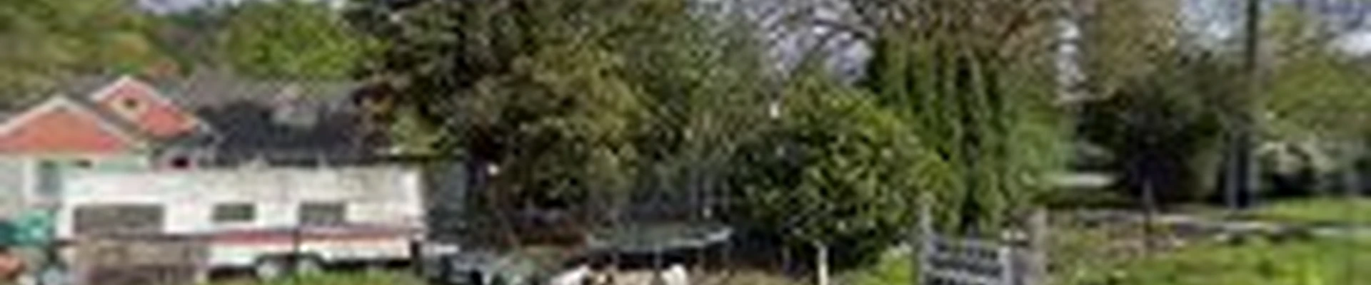 Augusta Lawn Care Services
