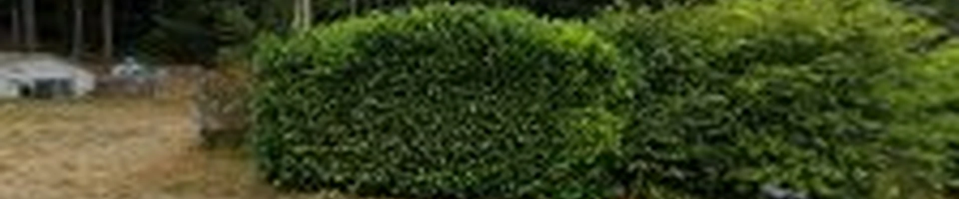 Pelican Landscaping LLC