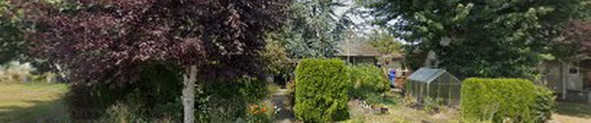 Major League Lawn Care