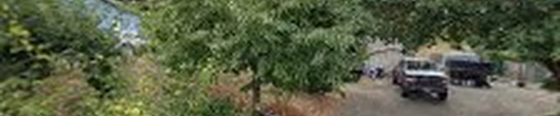 Domingo landscaping