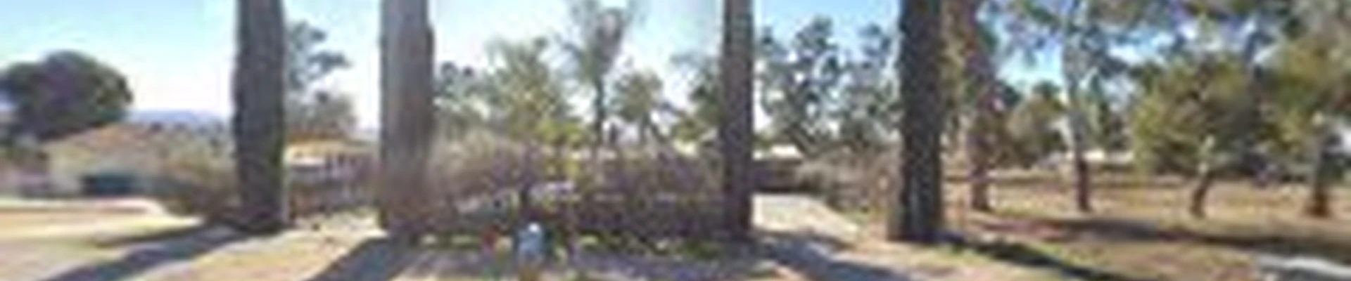 Sabas huerta landscaping