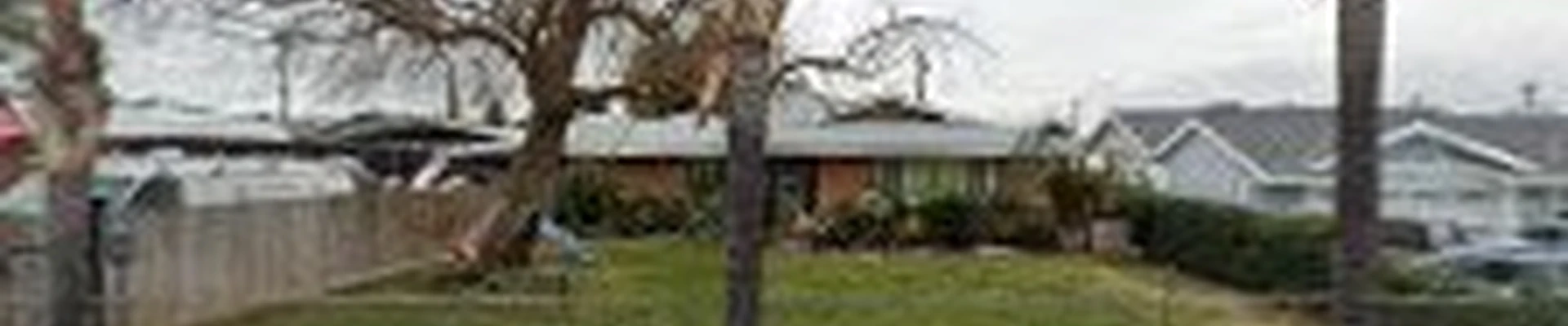 Domestic Landscape
