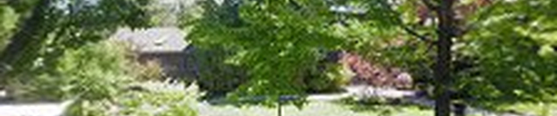 Mott's Landscaping