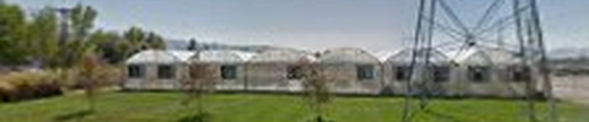 Loveland Landscape