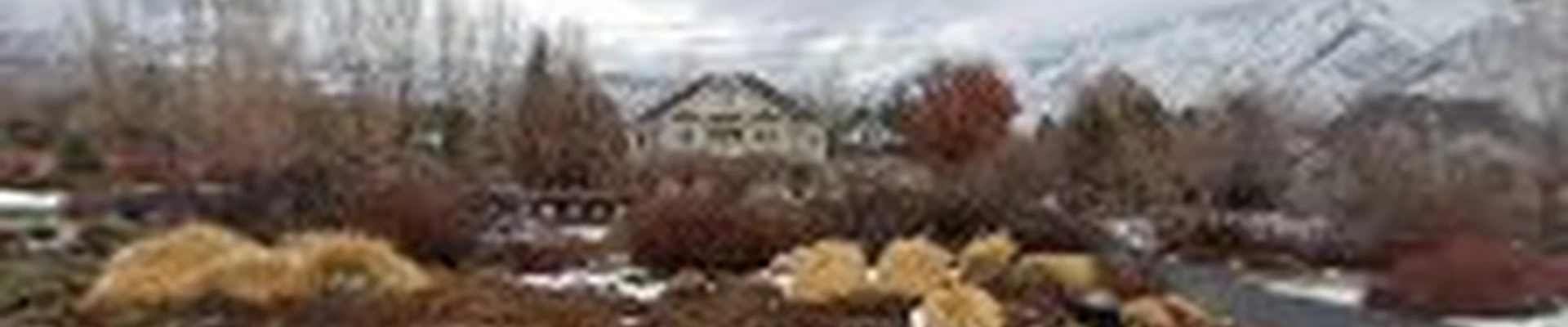 Landscape By Design