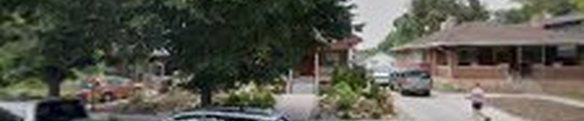 White Landscape Design