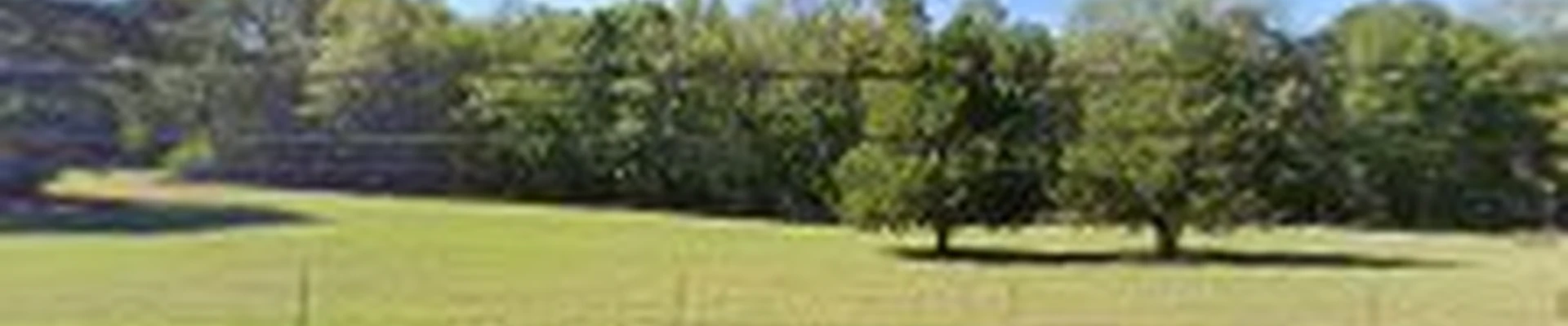 Southern Living Landscapes