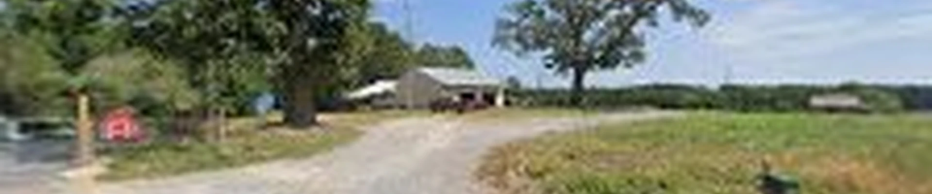 Statewide Grassing Inc