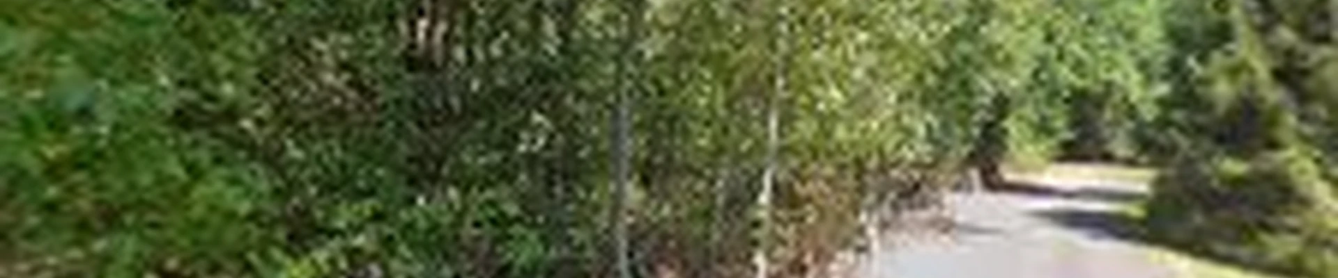 Alexander Landscaping LLC