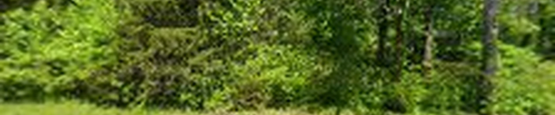 J&G Landscaping, LLC