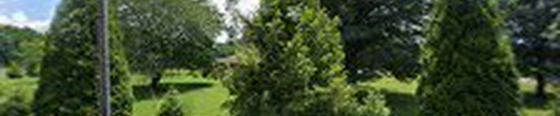 Burkett Lawn Care