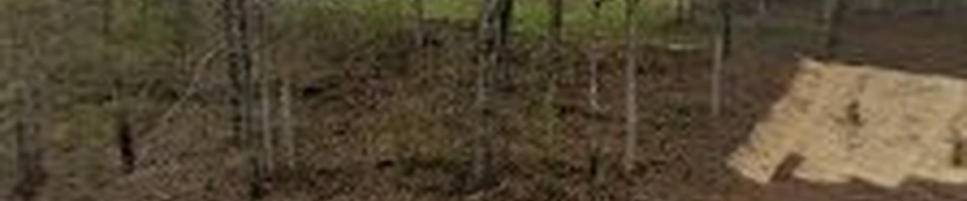 TN Valley Landscape & Lawncare