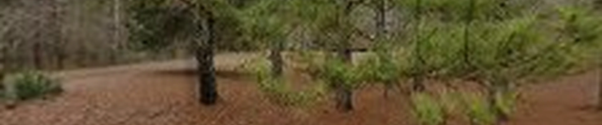 Mountain Lakes Lawn Care LLC