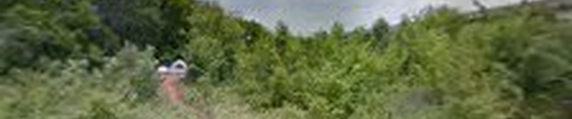 Morgan Landscapes