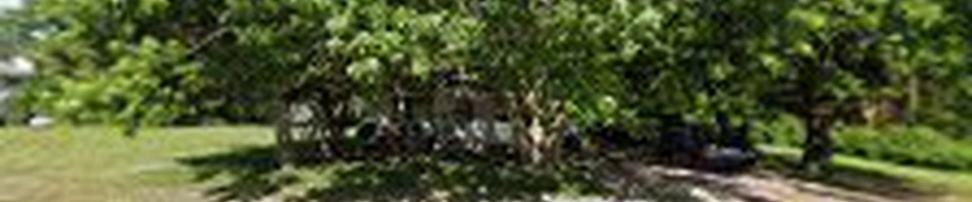 Greener Lawnscapes & Services, LLC.