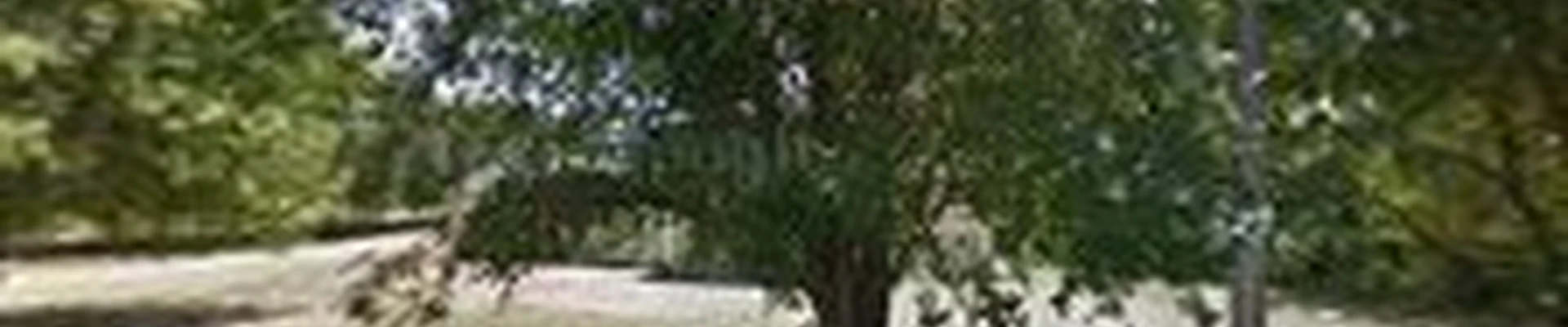 J & J Landscaping