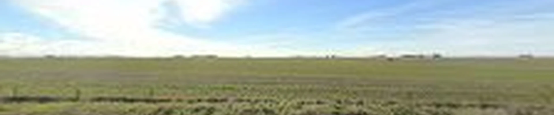 Tapper Turf & Land