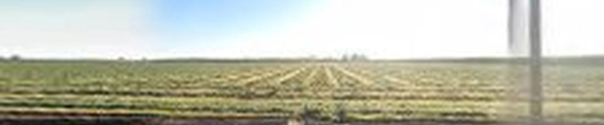 Gone Green landscape LLC
