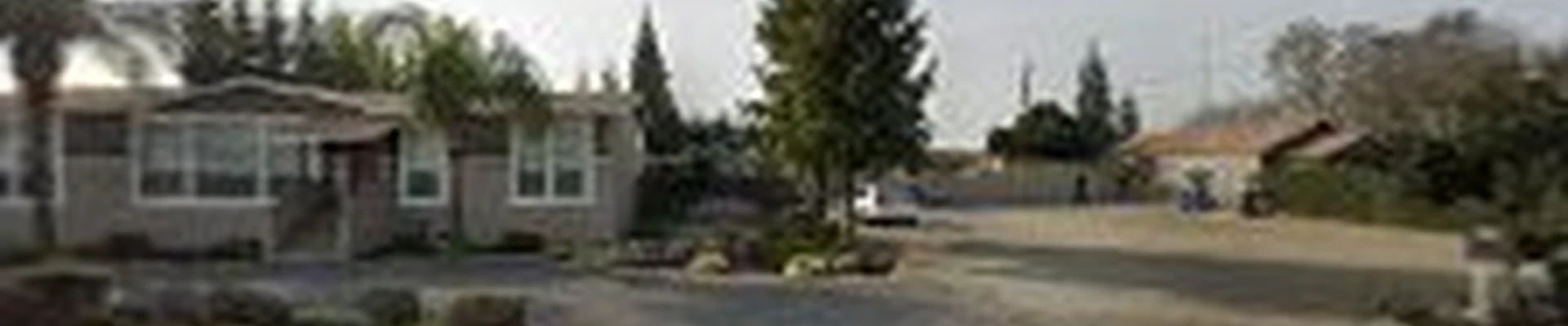 Tony's Landscaping & Maintenance