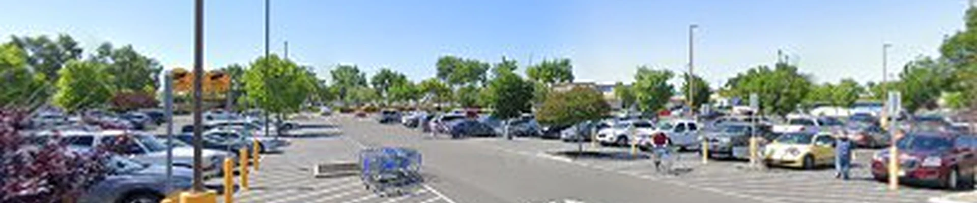 Walmart Garden Center