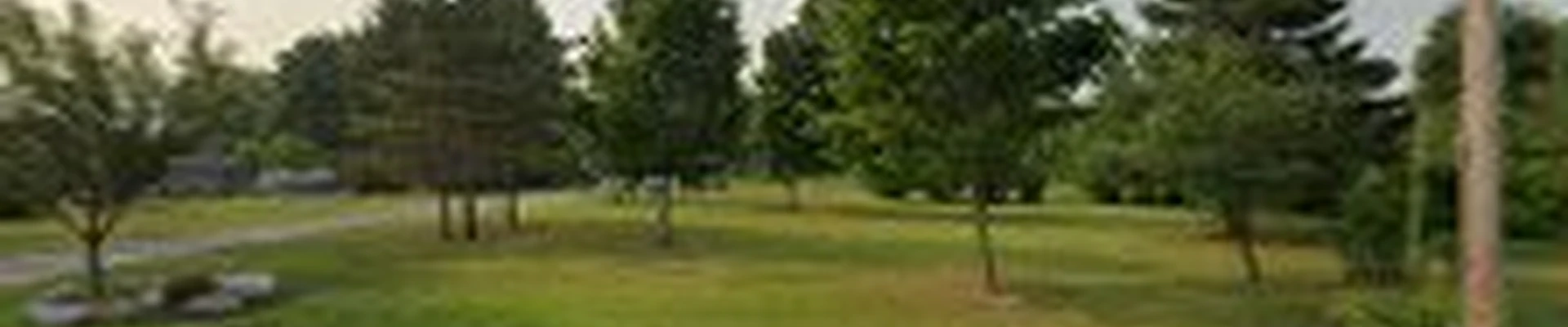 Arborsense Tree & Landscape LLC