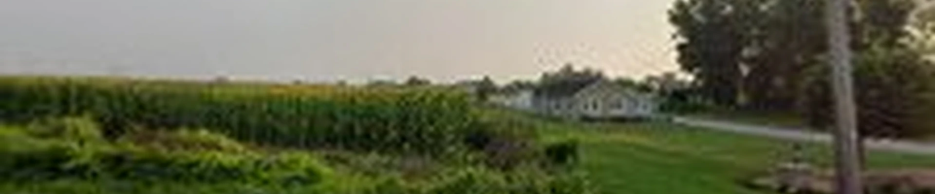 Evergreen Landscape Management