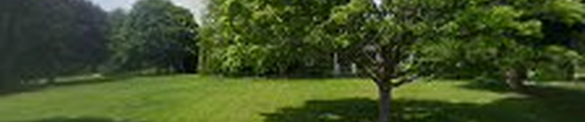 Countrycare Landscape Management, Inc.