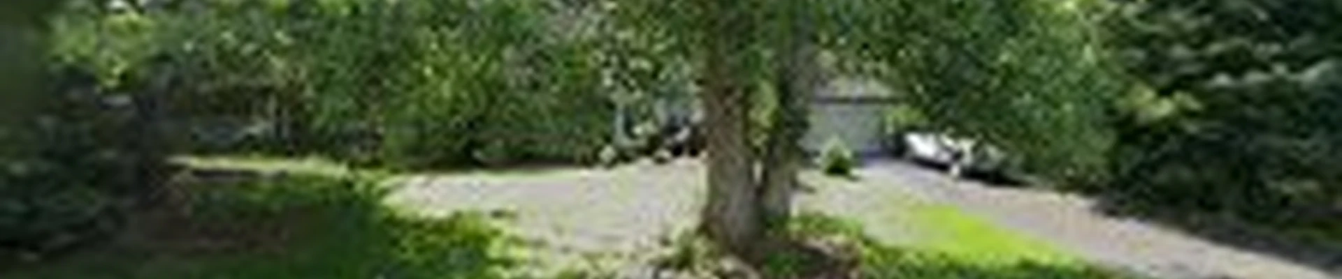Zales Lawn and Landscaping LLC