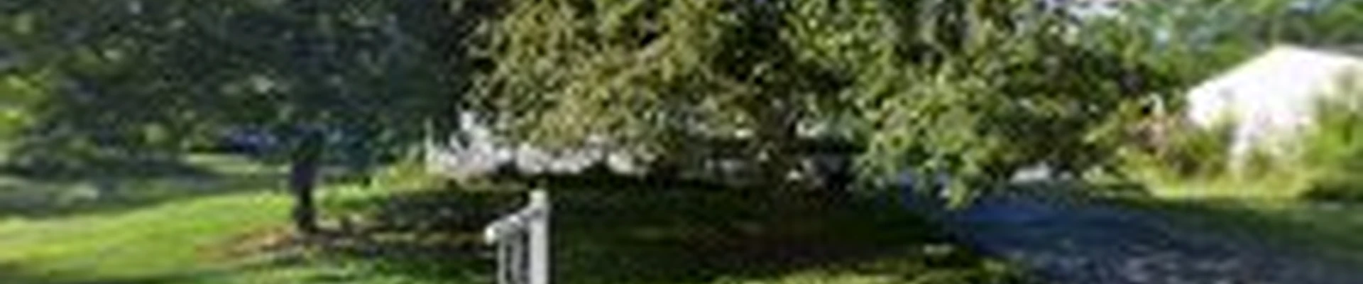 Great Lakes Lawn and Landscape, LLC.