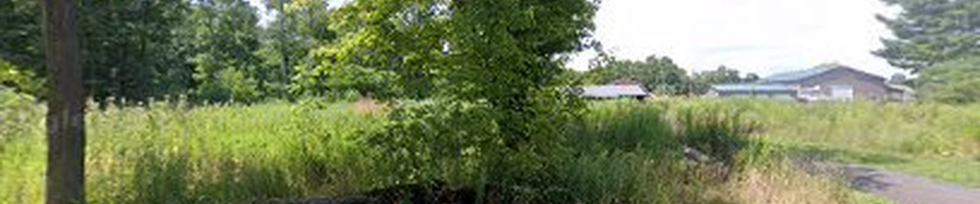 The Source Landscaping & Construction, LLC