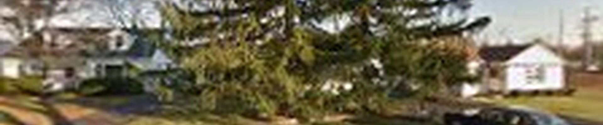 Murphy's Lawn & Landscaping