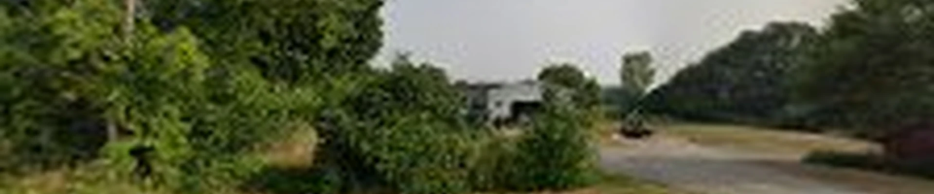 Curtis Landscape Management