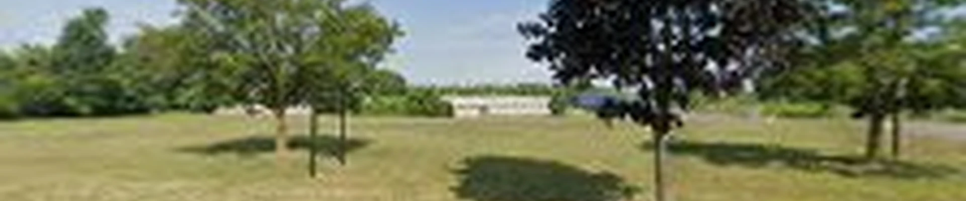 Conte Lawn Care