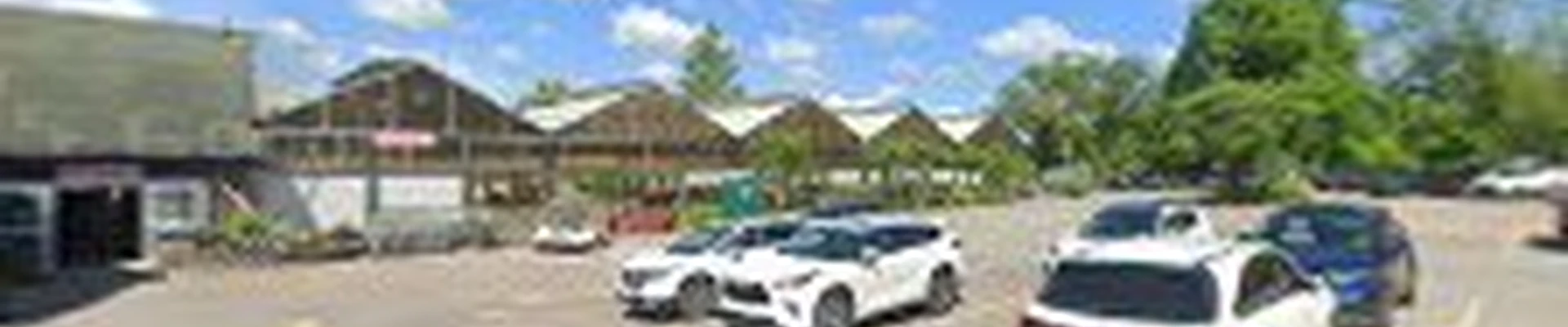 Bristol's Garden Center