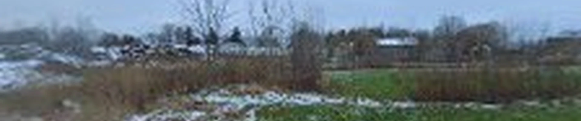 Preston’s Tree & Landscape Service