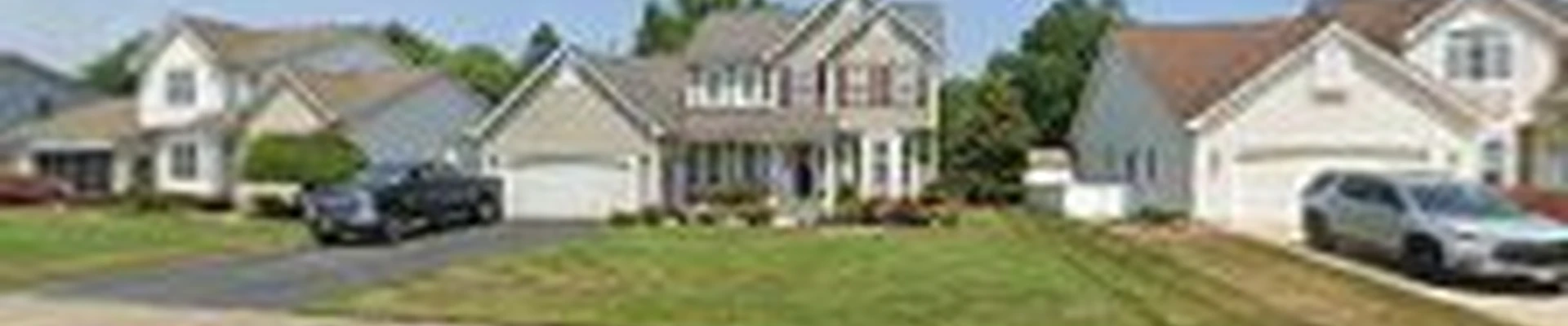 Cut & Trim Tree & Landscape