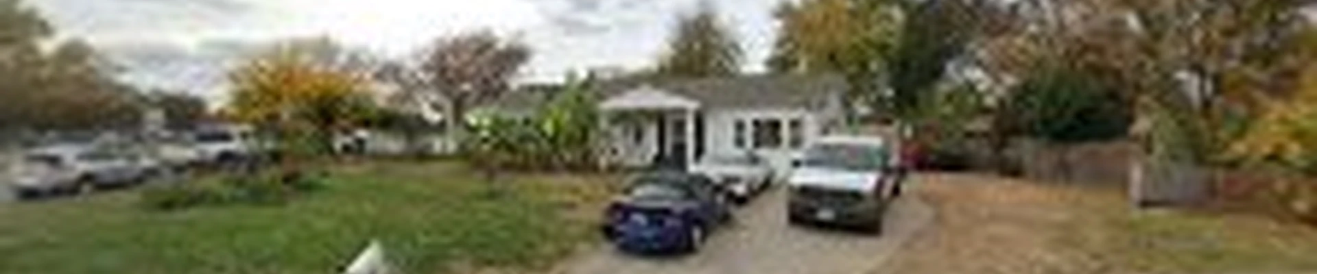 Tarzan Tree and Landscaping LLC.