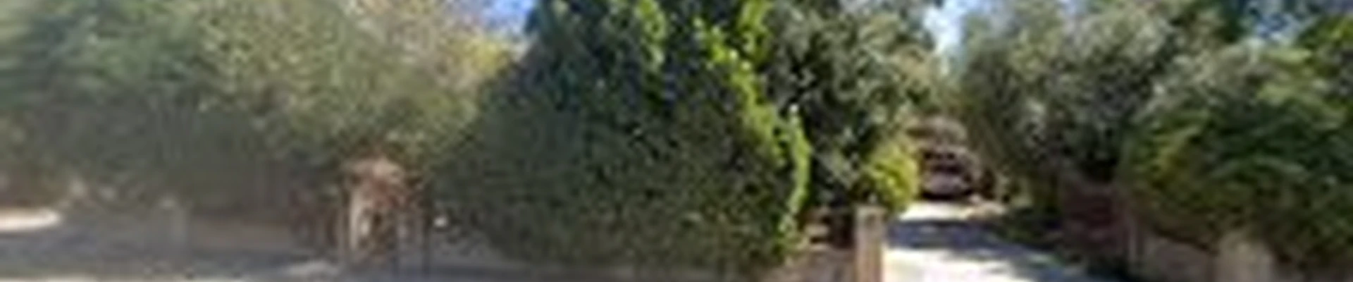 Mar Lawn