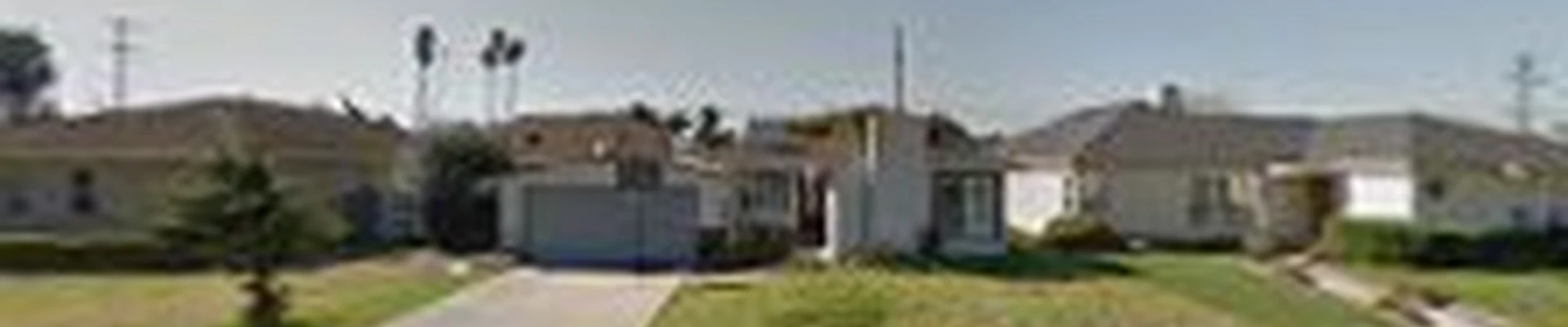 Segura's Tree Service Landscaping