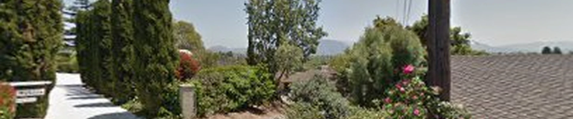 Salinas Tree Service & Landscaping