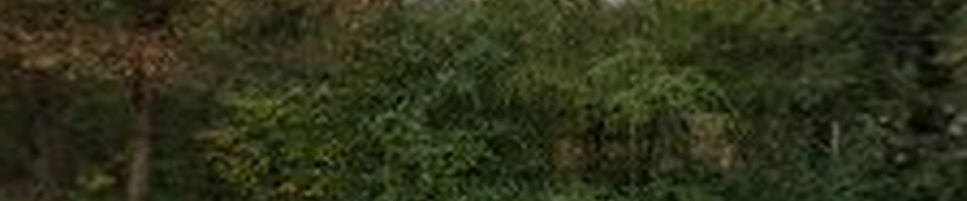 Faulkner's Landscaping