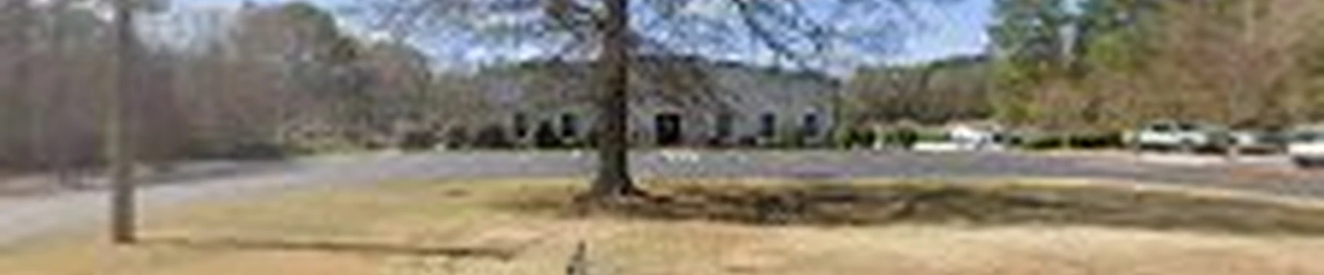 Bodine’s Landscape Services
