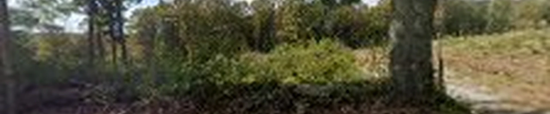 O'Shea Landscaping