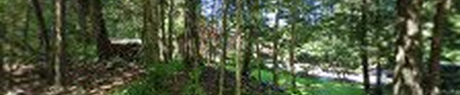 Evolve Landscaping