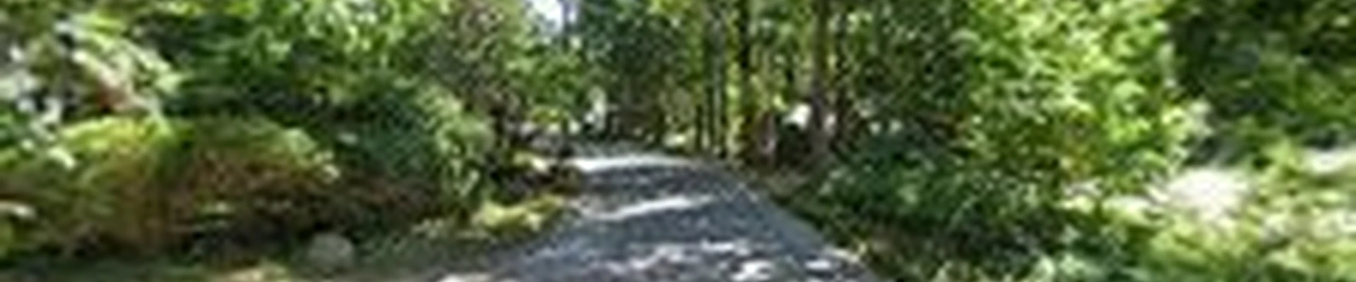 New England Landscaping
