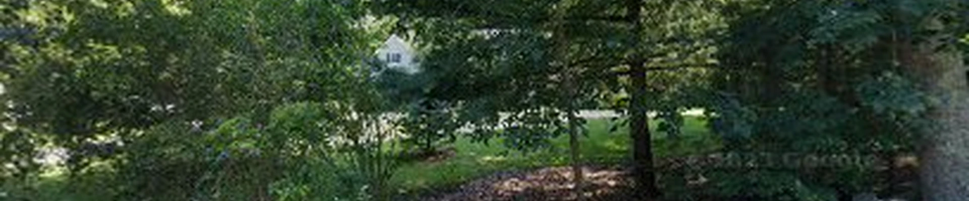Thompson Landscaping & Construction