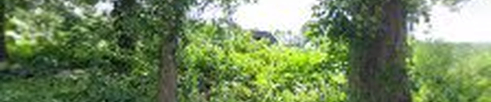 Green Gardens Landscaping & Nursery