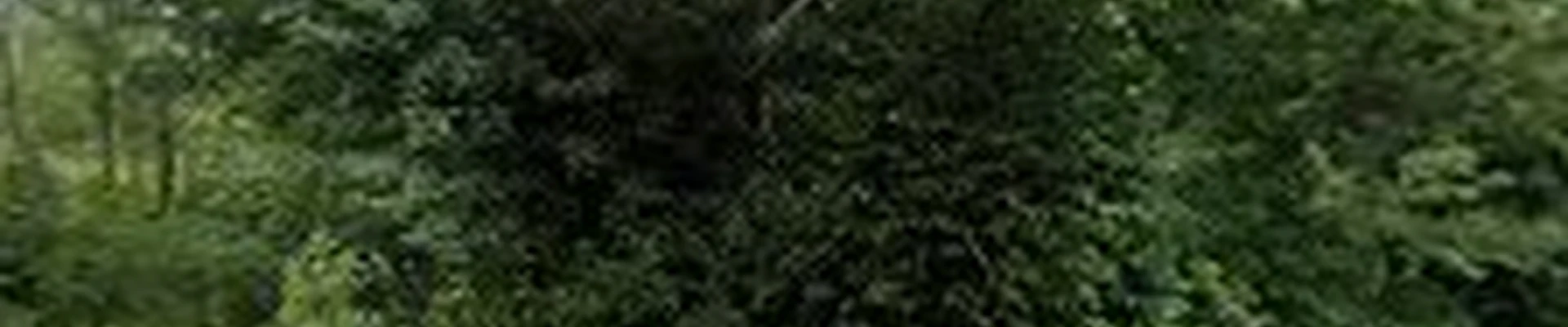 Plowman Landscaping