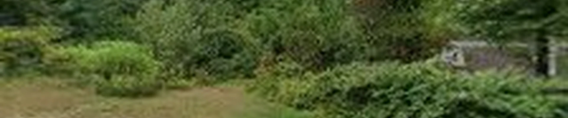 Spera Landscaping