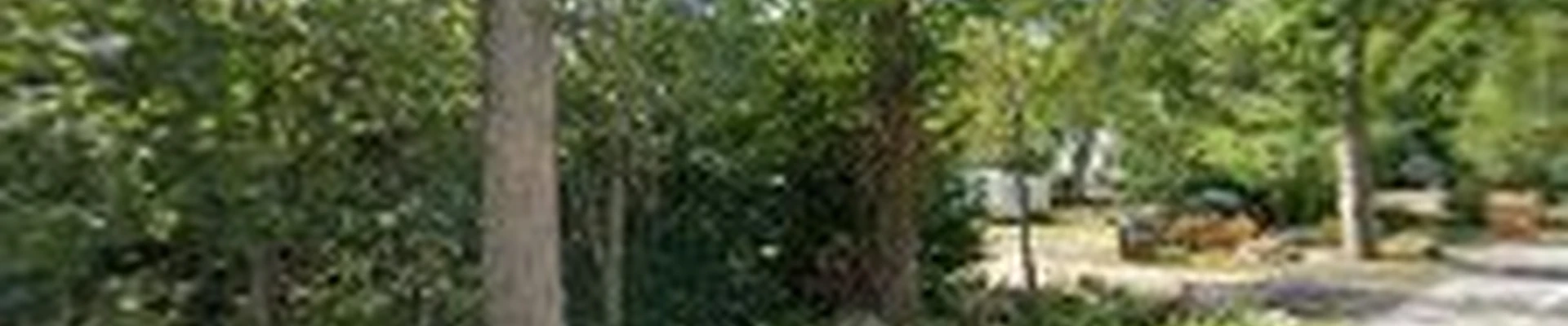 Reliable Landscaping